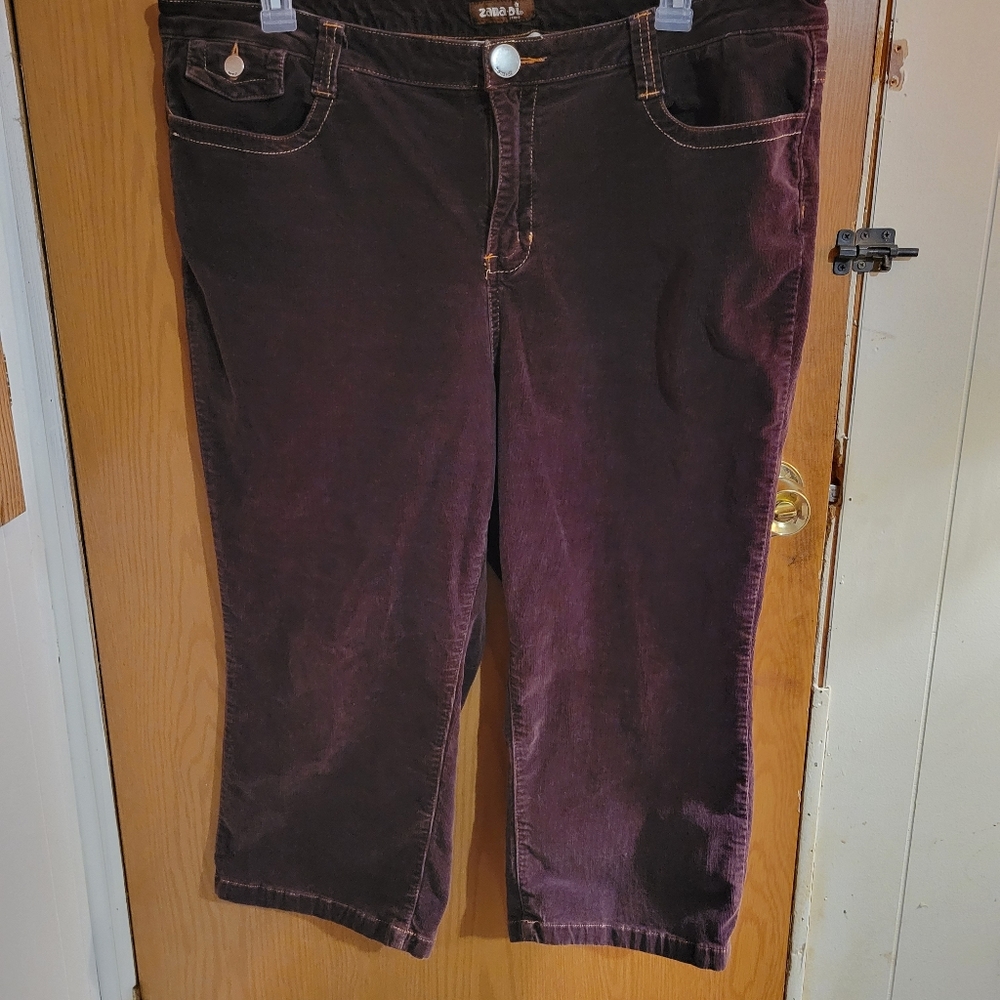 Plus size pants